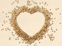 Quinoa, el superalimento ancestral