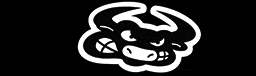 TORO LOCO - BMP.