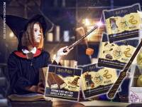 La magia de Harry Potter en los chocolates de Migueláñez