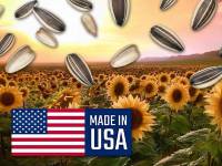 Las pipas de girasol de EEUU, una producción “confiable, segura y de calidad uniforme”