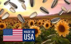 Las pipas de girasol de EEUU, una producción “confiable, segura y de calidad uniforme”