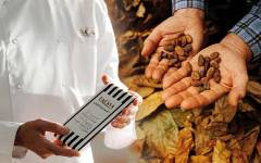 Chocolates Lacasa crea la primera tableta de chocolate elaborada íntegramente en España