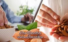 Día Mundial de la Almendra: un fruto seco lleno de beneficios