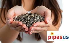 Pipas de girasol de Estados Unidos: garantía de sabor, calidad e innovación