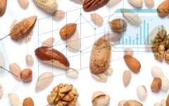 Frutos secos: snacking sano y natural