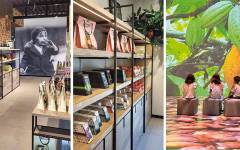 Llega Shop &amp; Show, nueva tienda con experiencia inmersiva de Chocolates Torras