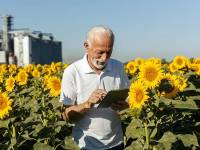 Pipas USA, fuente fiable y referente global en el sector de las pipas de girasol