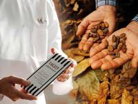 Chocolates Lacasa crea la primera tableta de chocolate elaborada íntegramente en España