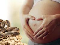Por qué las pipas de girasol son recomendadas para las mujeres embarazadas
