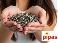 Pipas de girasol de Estados Unidos: garantía de sabor, calidad e innovación