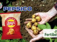 Lay’s y Ruffles más sostenibles, gracias a los fertilizantes bajos en carbono