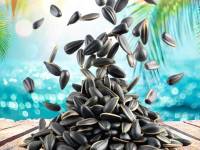 Contra la exposición solar del verano, pipas de girasol para cuidar el cabello