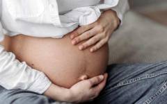 Las pipas de girasol, el snack aliado de las embarazadas