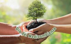 Día Mundial del Medioambiente: la importancia de cuidar al planeta