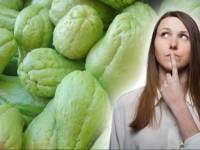 ¿Qué es el chayote?