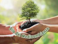 Día Mundial del Medioambiente: la importancia de cuidar al planeta