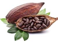 Beneficios en los altos porcentajes de cacao