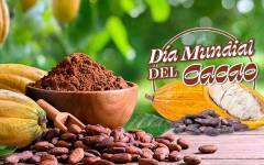 Día Mundial del Cacao: conscientes de su valor en nuestra vida diaria
