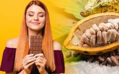 Nueva forma de elaborar chocolate: menos azúcar y más sostenible