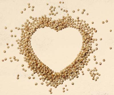 Quinoa, el superalimento ancestral
