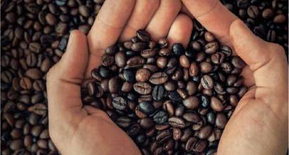El “sabor y la visión global” de Coolife redefinen el café on-the-go
