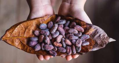 ChocoMad 2024: Málaga, con sabor a chocolate