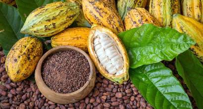 Día Internacional del Chocolate: del xocolātl maya al chocolate moderno