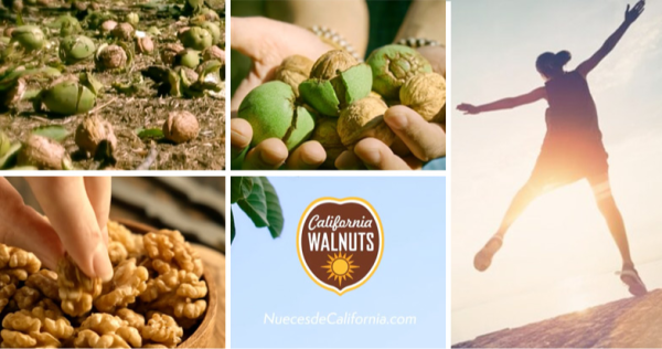 Nueces de California estrena campaña: ‘Siempre vida, siempre nueces’