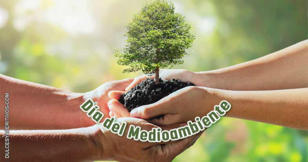 Día Mundial del Medioambiente: la importancia de cuidar al planeta