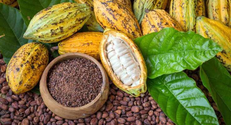 Día Mundial del Cacao: conscientes de su valor en nuestra vida diaria