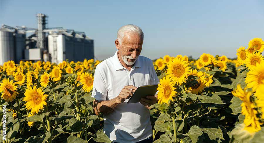 Pipas USA, fuente fiable y referente global en el sector de las pipas de girasol